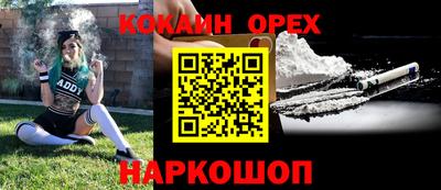 индика Братск