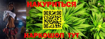 индика Братск