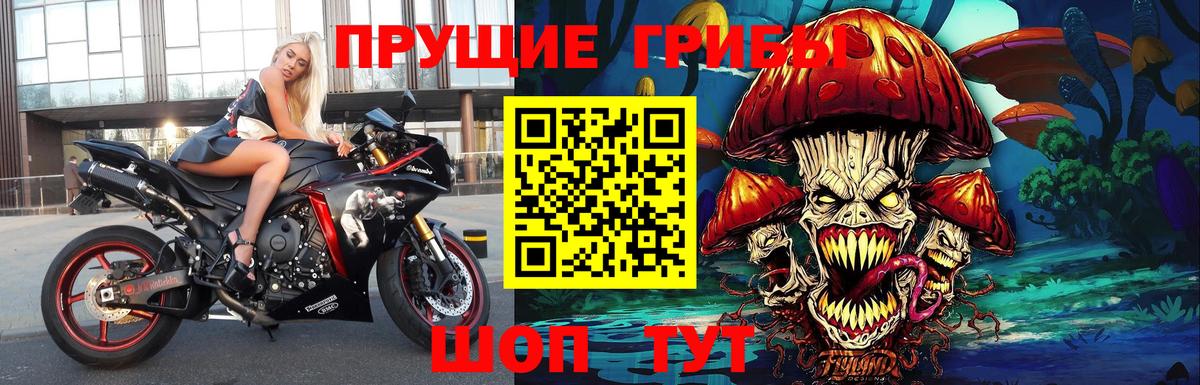 Галлюциногенные грибы Magic Shrooms  Вход с VPN  сколько стоит  Белогорск 